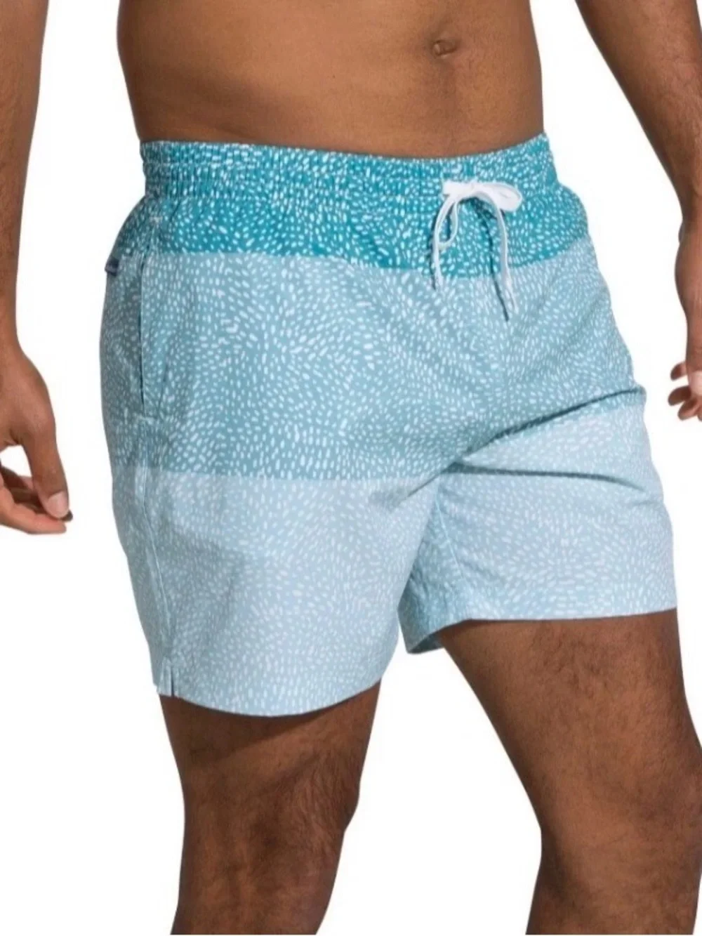 chubbies your swim